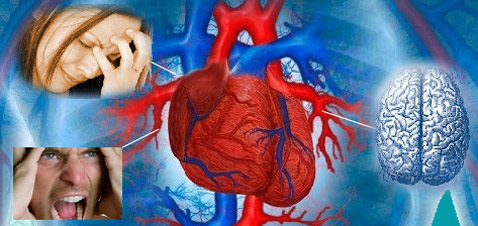 Наши эмоции и баланс веществ в организме, в том числе, регулирующих сердечную деятельность — связаны между собой (иллюстрация с сайта emwave.ru).